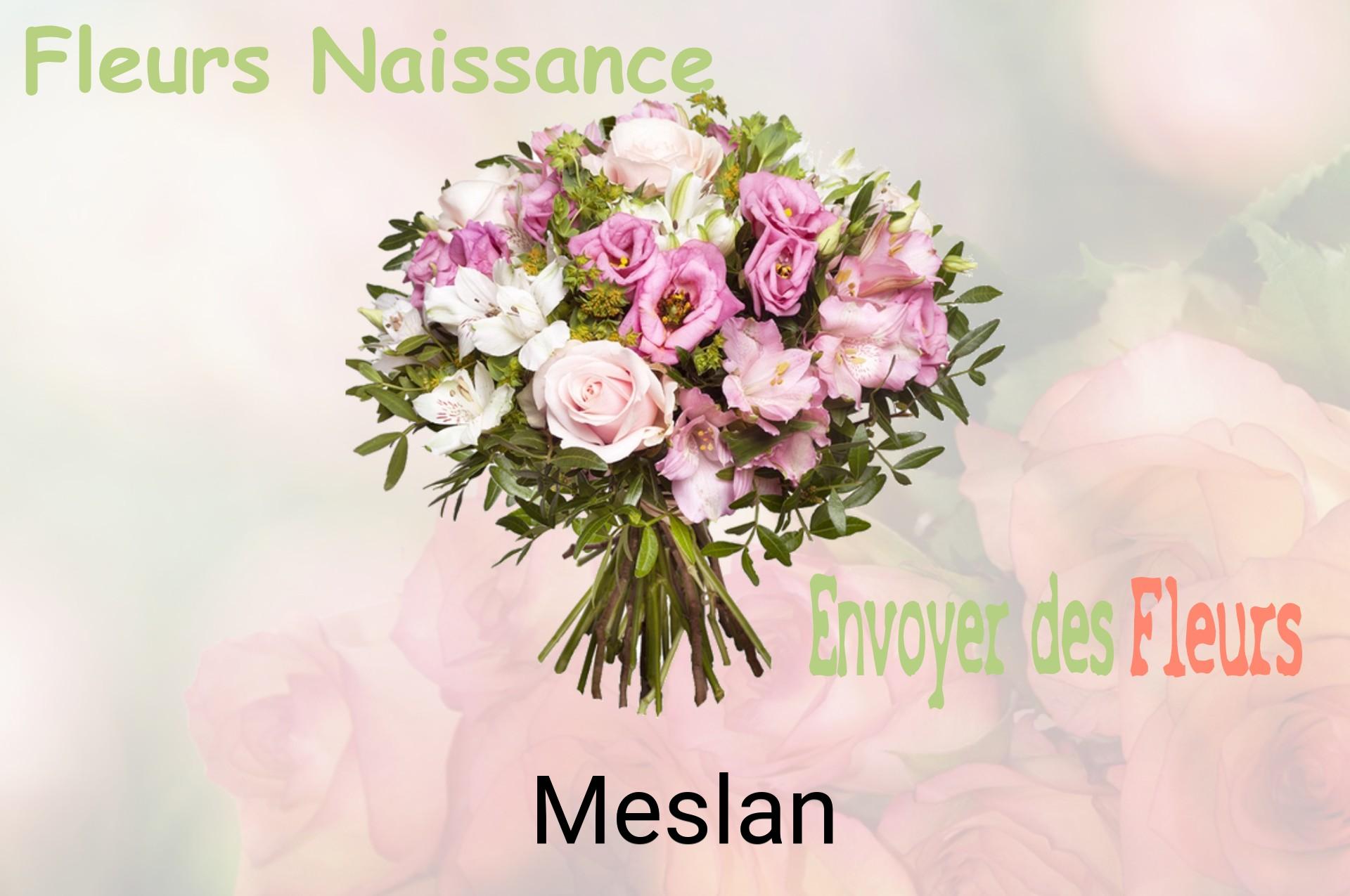 Bouquet de fleurs de naissance livré à Meslan