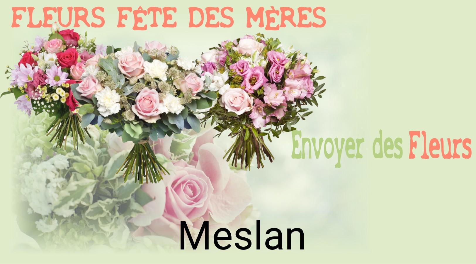 Bouquet de Fête des Mères livré à Meslan